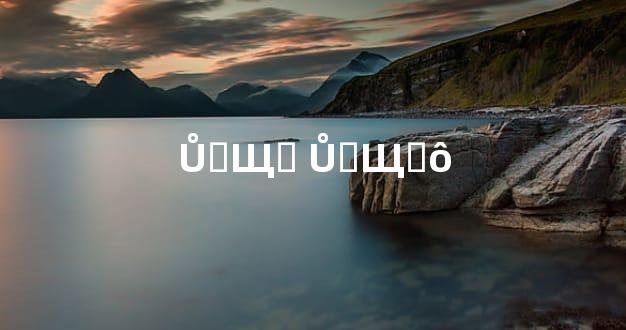 ŮҪЩױ ŮҪЩʲô